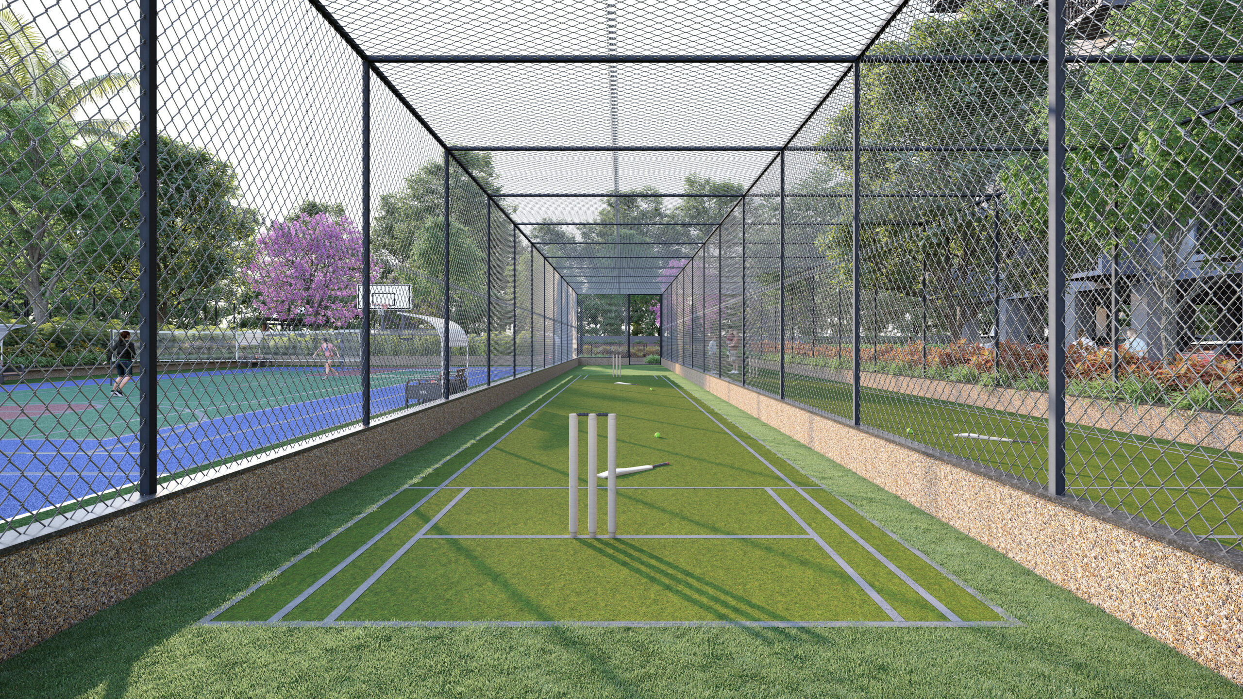Cricket Net